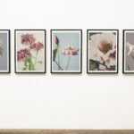 Collection of floral art pieces on a wall